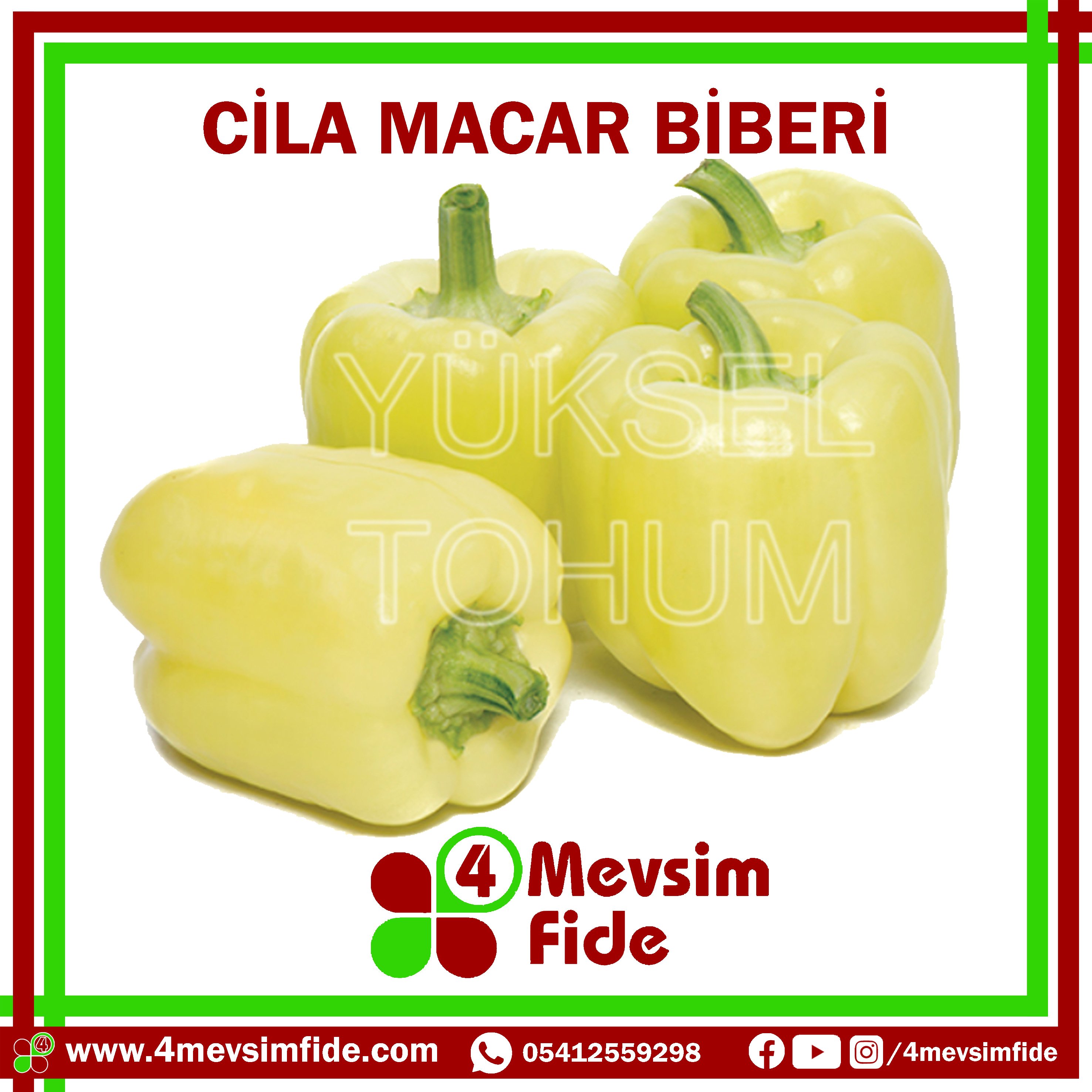 Cila F1 Macar Biber